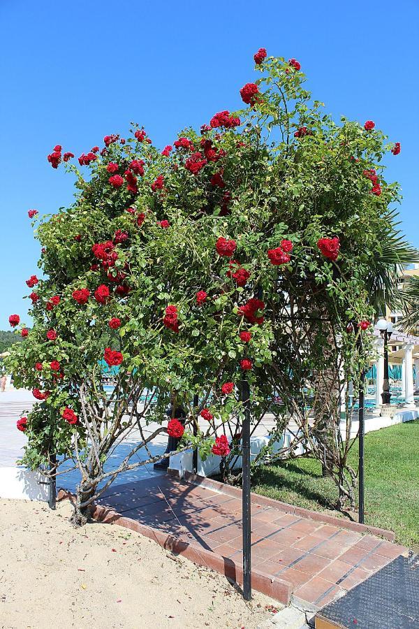 Duni Marina Beach Hotel Дюни Екстер'єр фото